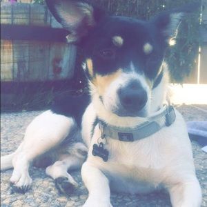 Meet your Posher, Allison